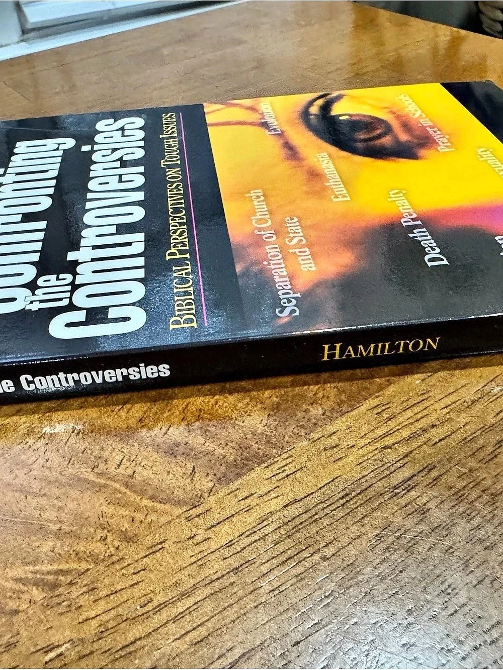 Abingdon Press Confronting the Controversies Religious Studies Book